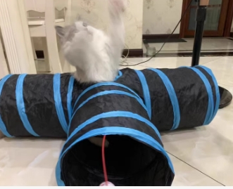 微信截图_20241218142109.png