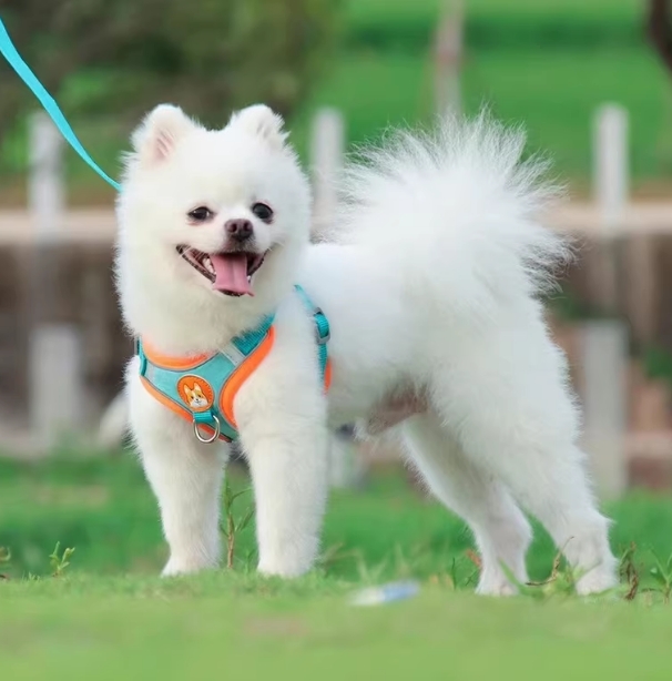 微信截图_20241218145441.png